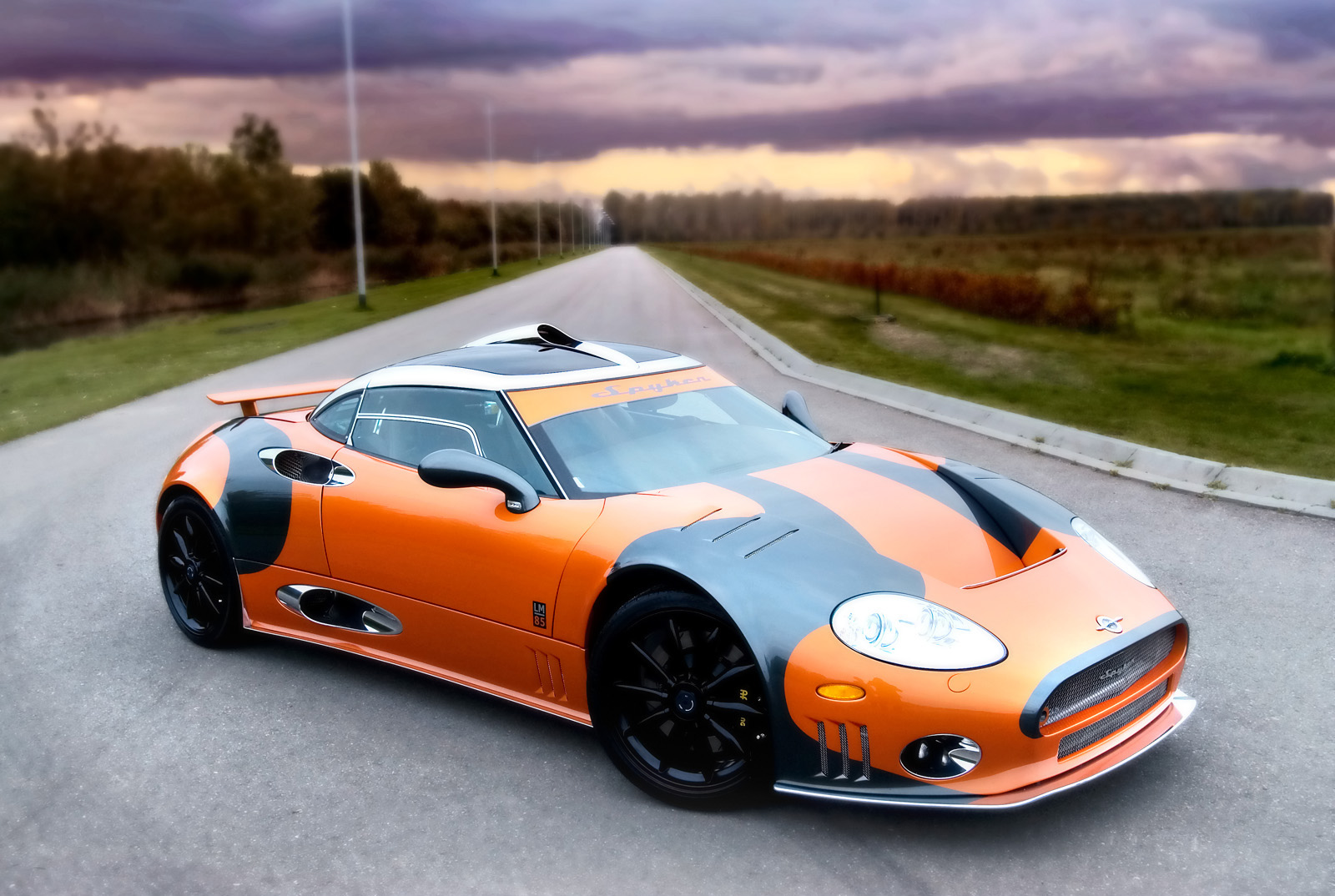 Spyker C8 Spyder: 8 фото