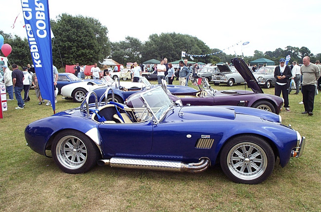 Cobra 6